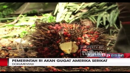 Soal Bea Masuk Biodiesel, Pemerintah RI Ancam Gugat AS