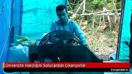 Üniversite Harçlığını Solucandan Çıkarıyorlar