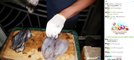 무늬오징어회 먹방 (Sliced squid, Mukbang, 술먹방)