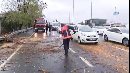 Fırtına Nedeniyle Otoyola Ağaç Devrildi