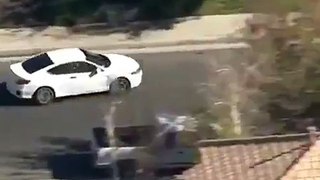 Suspect throws dog out of car
