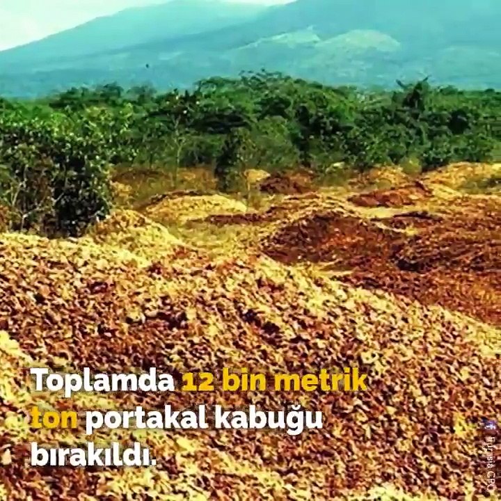 12 Bin Portakal Kabuğuyla Ne Yapılır