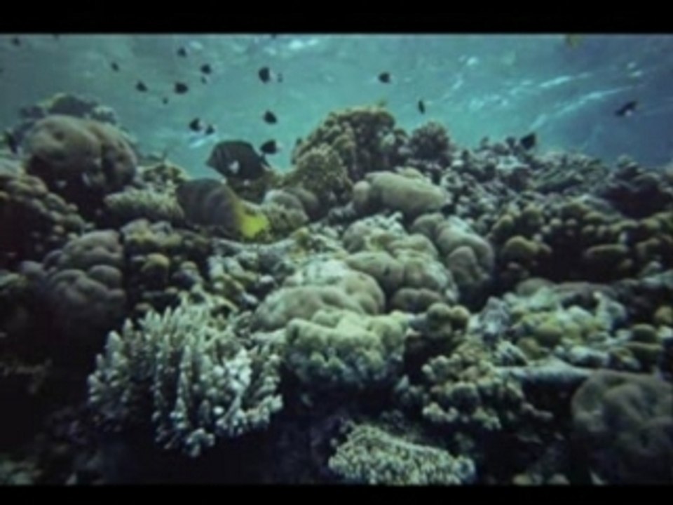 Photos Egypte Hurghada 2006 3