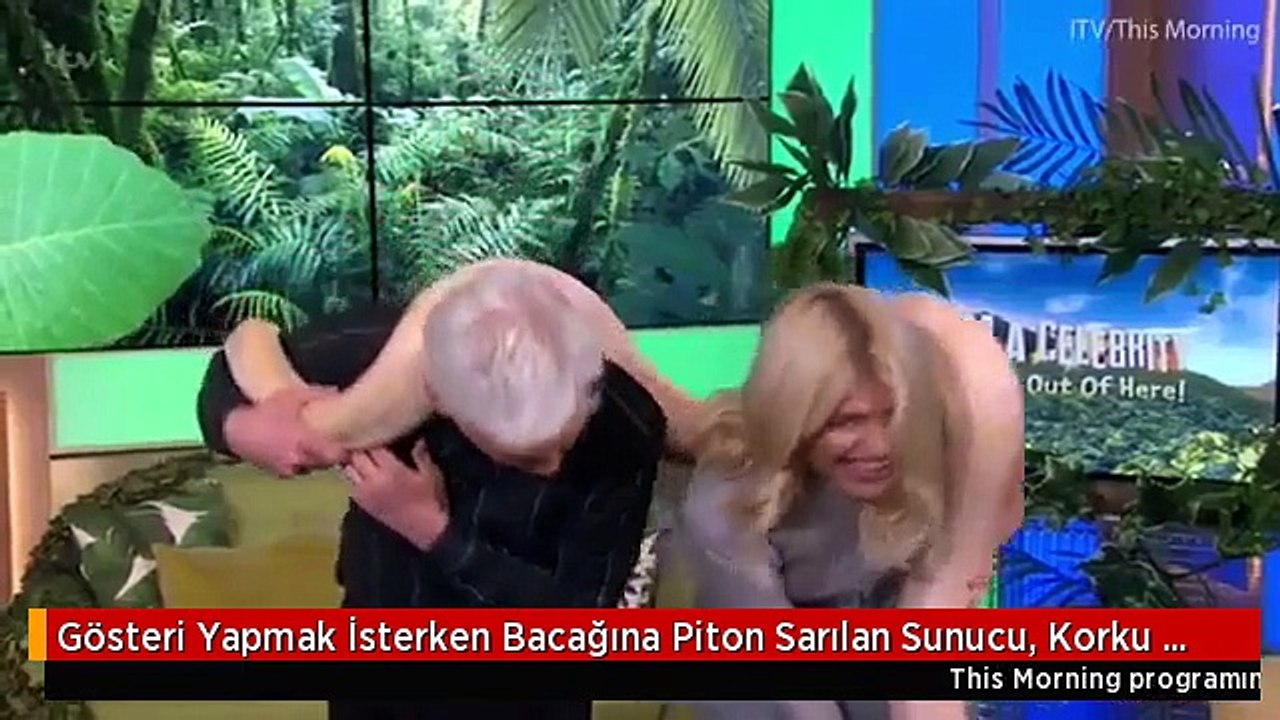 Gösteri Yapmak İsterken Bacağına Piton Sarılan Sunucu, Korku Dolu Anlar Yaşadı