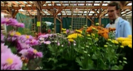 Bill Nye the Science Guy S01E14 Structures