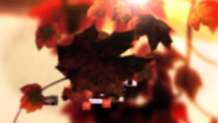 Professional Photographer Cornwall