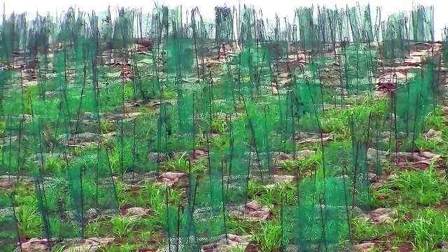 Le chantier du rond-point de la Toupiguières en images.