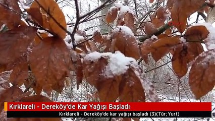 Kırklareli - Dereköy'de Kar Yağışı Başladı