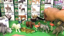 MY FULL COLLECTION OF ANIMAL TOYS for kids Takara Tomy - Learn animal names