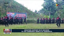 Senators support Du30 decision to tag communist rebels as terrorists
