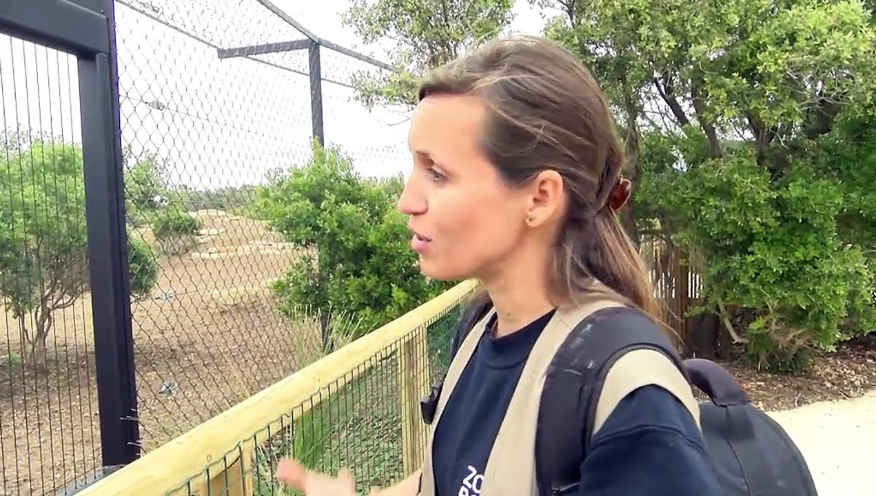Morgane Kippelen, responsable de travail temporaire sur le secteur d'Aix-en-Provence