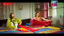 Mein Mehru Hoon Ep 01 - on ARY Zindagi in High Quality 20th November 2017