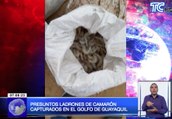 Presuntos ladrones de camarón capturados en el Golfo de Guayaquil