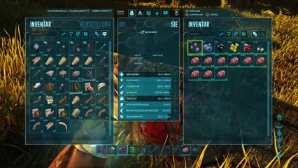 DonAleszandro ARK Survival «-Überlebenskampf im Aufbau einer Zivilisation-» (344)