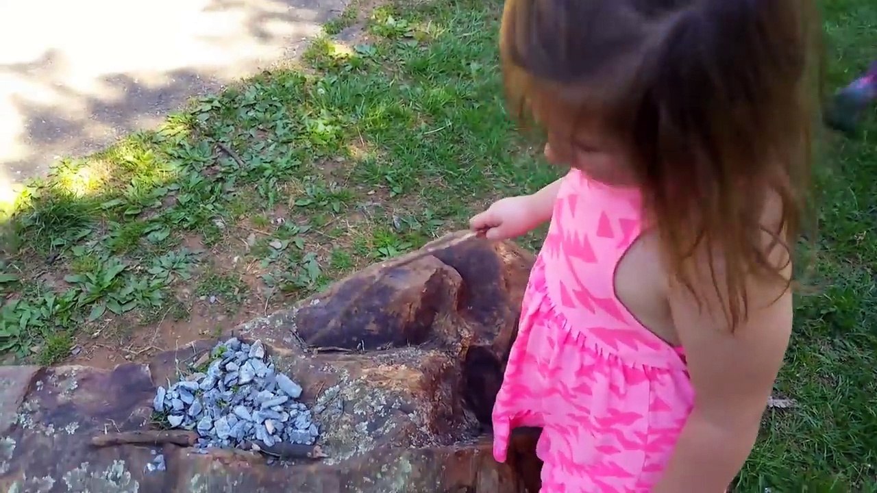 Girls Do Ice Bucket Challenge with Dad - Cold Water Prank on Kids