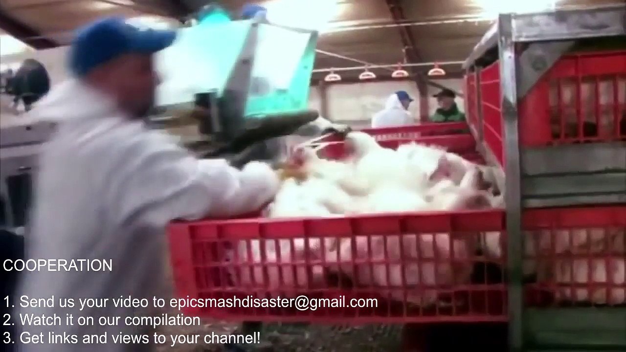 Smart Agriculture, Intelligent Technology, Automatic Chicken Catcher, Transportation and Egg Collection