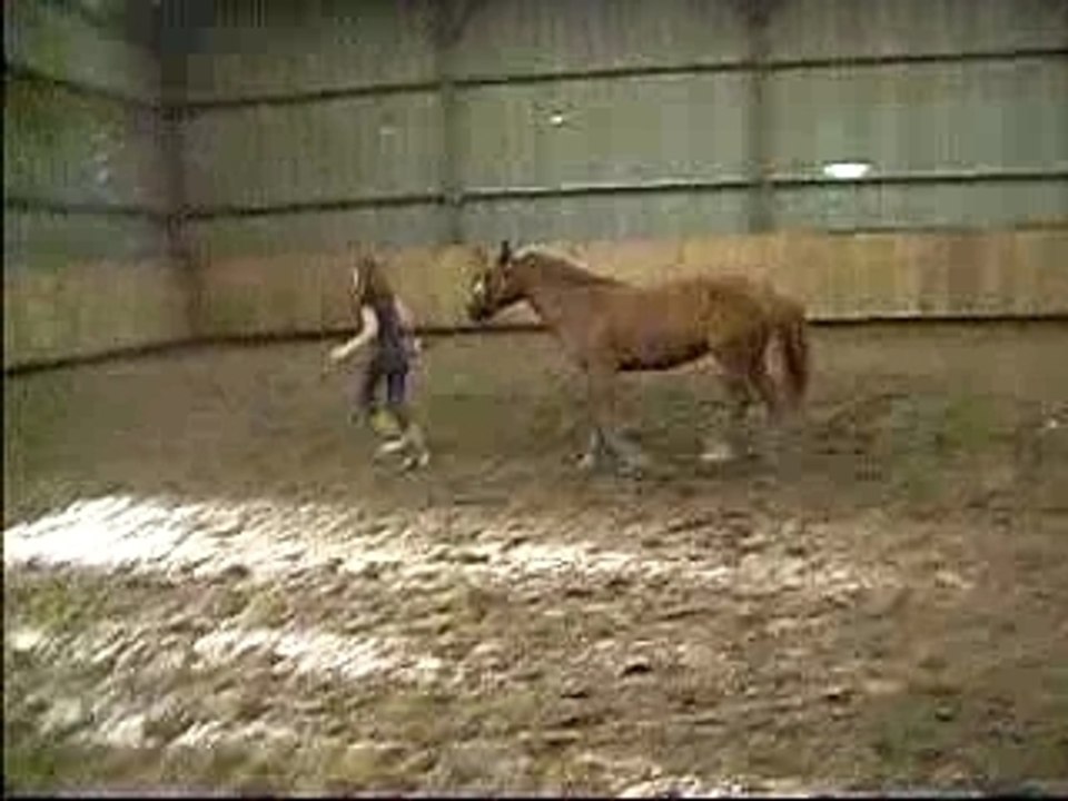 Manege5