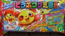 Animals Gummy Candy DIY Japanese Kit - Elephant, Koala, Crocodile & Kangaroo! - Kracie