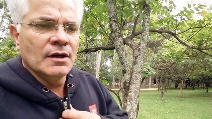 ORACAO PARA ABRIR NEGOCIO PROPRIO