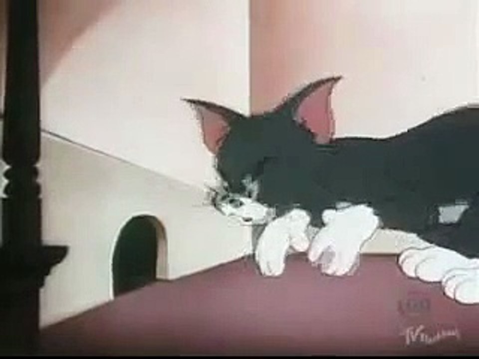 Tom e Jerry