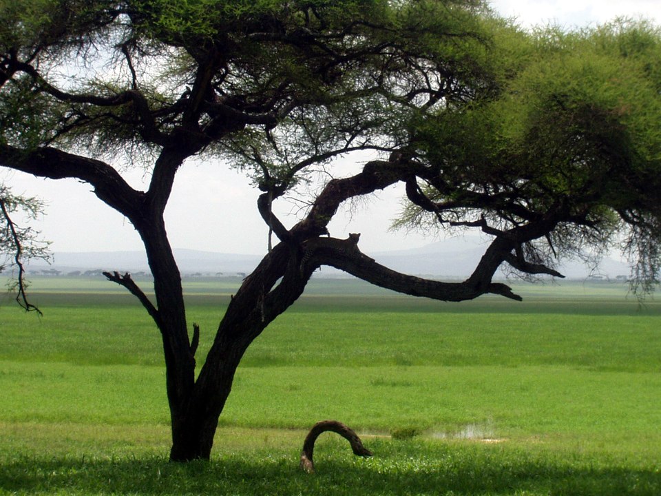Ballade sur la Terre