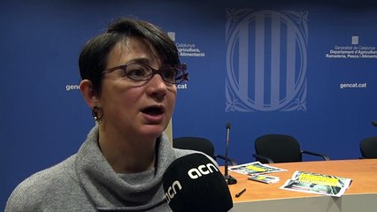 La Intersindical-CSC explica com es pot fer per a no cooperar amb el 155