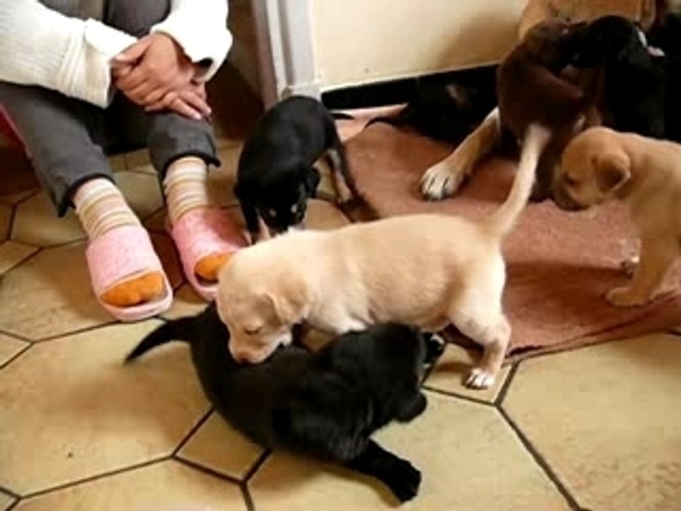 Bébé de Tina à 3 semaine