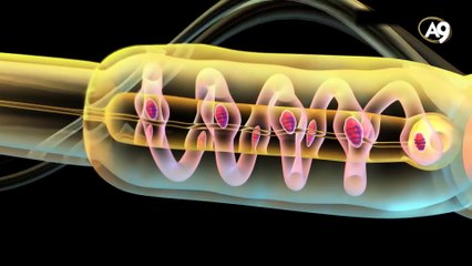 İnsanın Yaratılışı