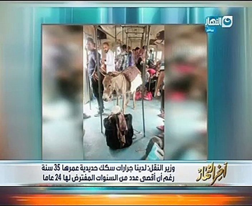 وزير النقل ساخرا من صورة حمار بـ"قطار منوف": "يا ترى دفع ولا لأ"