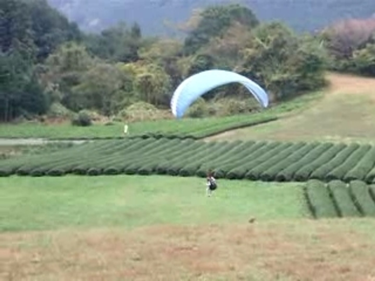 ⁣paragliding
