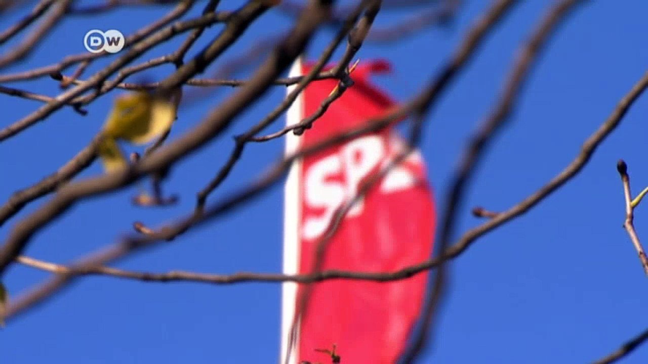 Political uncertainty as German coalition talks collapse | DW English