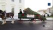 First Lady Melania Trump, along with her son Barron Trump, receives The White House Christmas tree