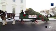 First Lady Melania Trump, along with her son Barron Trump, receives The White House Christmas tree