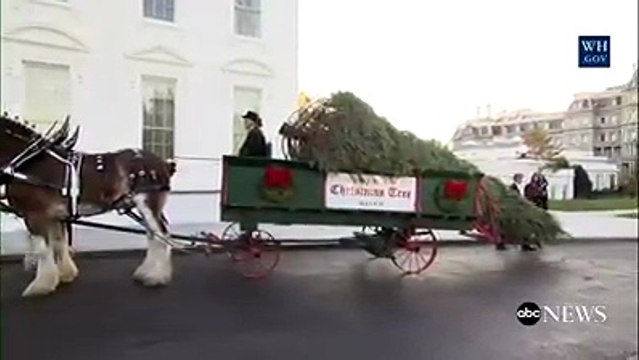First Lady Melania Trump, along with her son Barron Trump, receives The White House Christmas tree