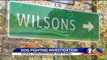 Police Open Investigation into Dog Fighting After Dozens of Dogs, Animal Fighting Pits Found at Virginia Home