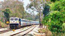Musical Railway Tracks | Train Sound | Railroad | Indian Railways