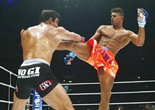 Alistair Overeem vs Vitor Belfort