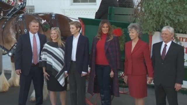 Melania Trump y su hijo reciben su primer árbol navideño de la Casa Blanca