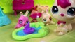 DIY - Łódeczki z Papieru - Littlest Pet Shop - Bajki i Kreatywne Zabawki dla dzieci