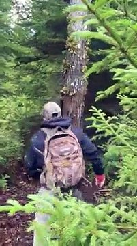 Quand un chasseur se fait chier dessus par un ours perché