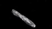 Meet Oumuamua: All you need to know about the first interstellar asteroid to enter our Solar System