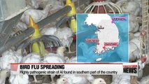 Avian flu found in wild bird droppings in southern Korea