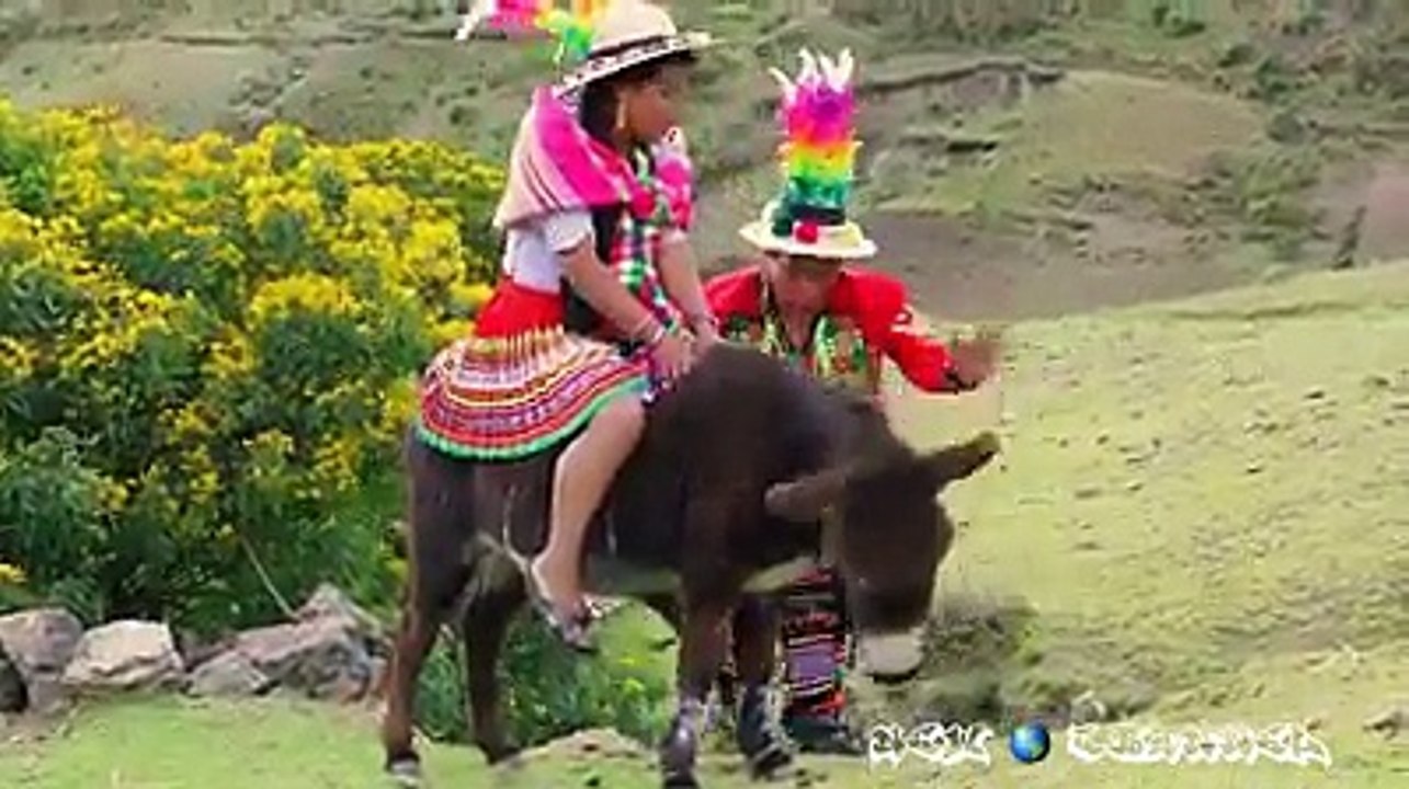 Casi se muere increíble debes mirarlo
