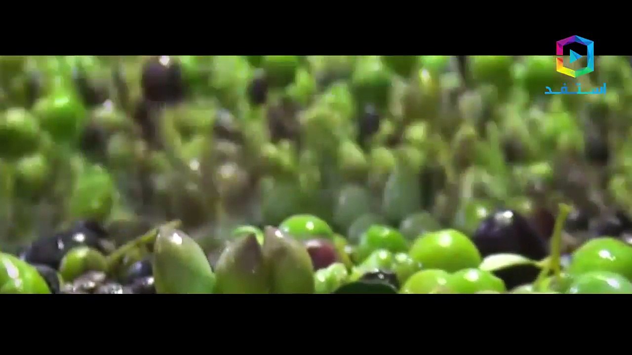 كيف تعرف زيت الزيتون الأصلي من المغشوش.. و كيفي...