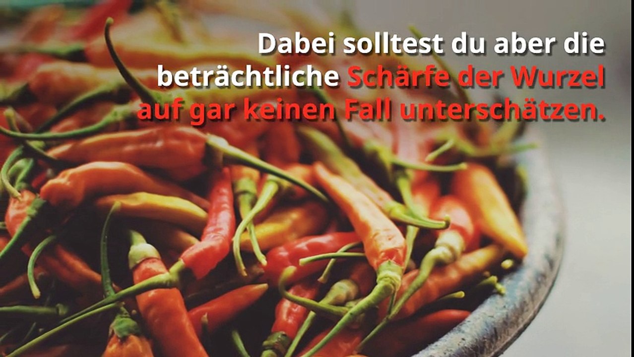 Ingwer roh essen - Vorteile | Zubereitung | Tipps