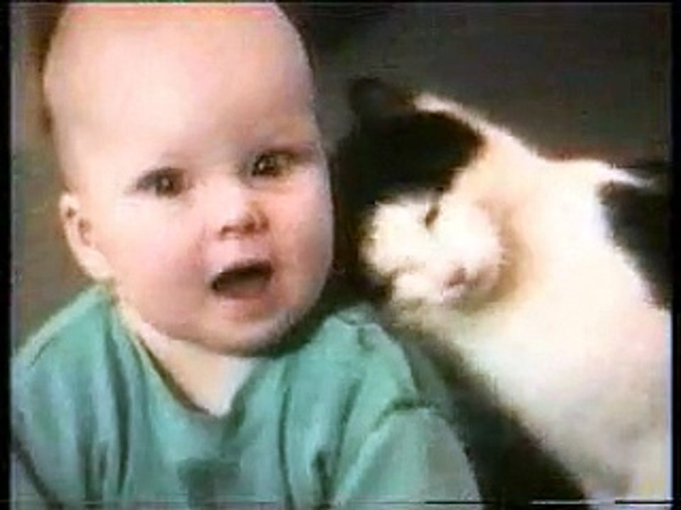 funny video