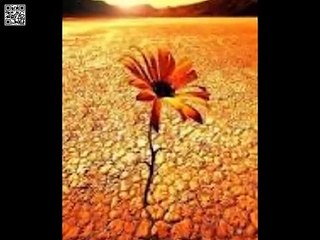 Armando Filho. Nenhuma condenação há. - YouTube