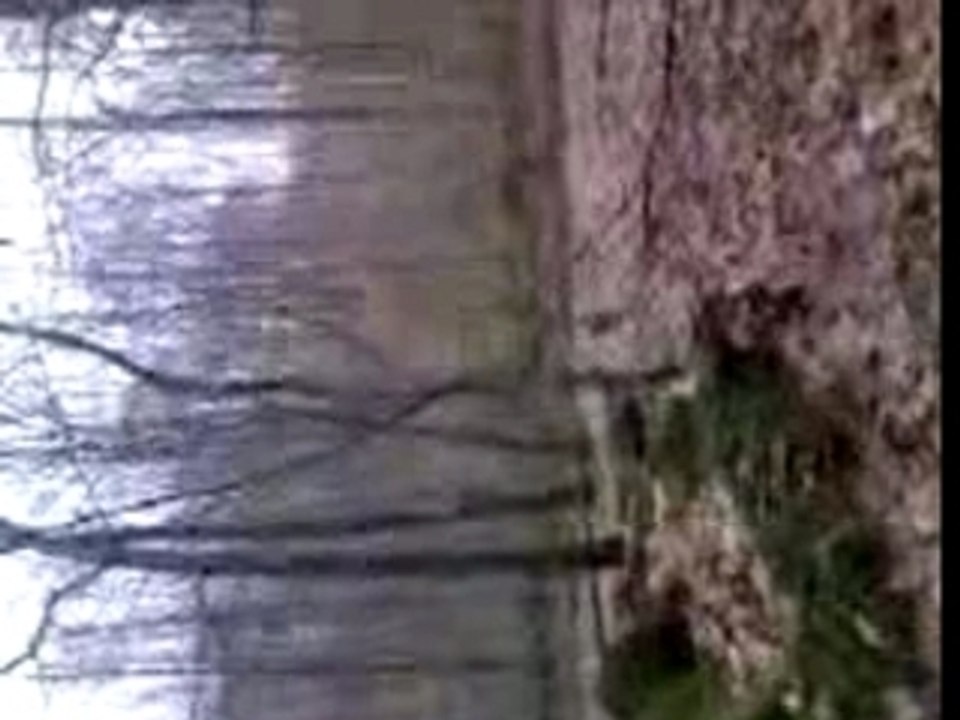 VTT