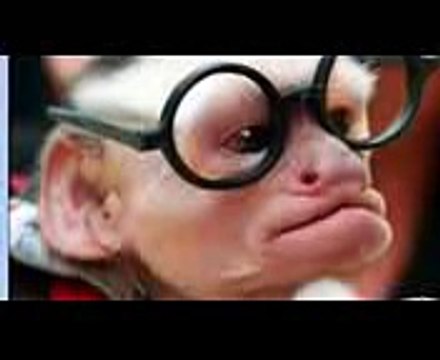 סרט מצחיק רצח!!!!