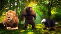 Animals Finger Family 3D | Cartoon Animals for Kids | Nursery Rhymes for Children
